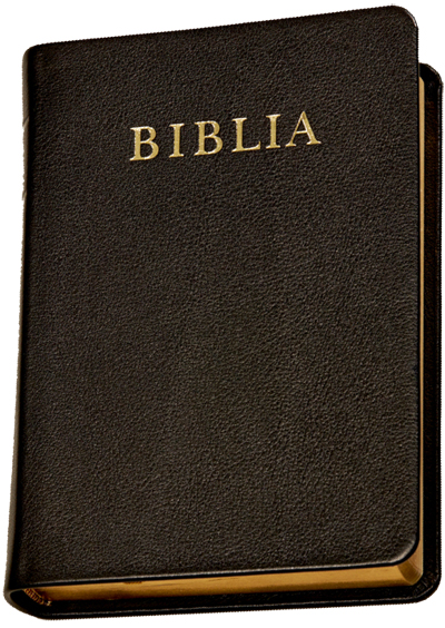 Bible, new translation (RÚF 2014), normal size, leather